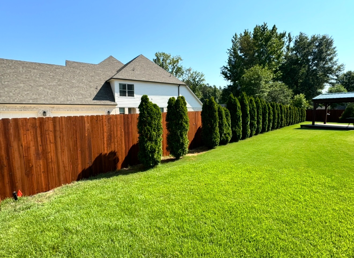 Pre-stained cedar privacy fence along a residential backyard