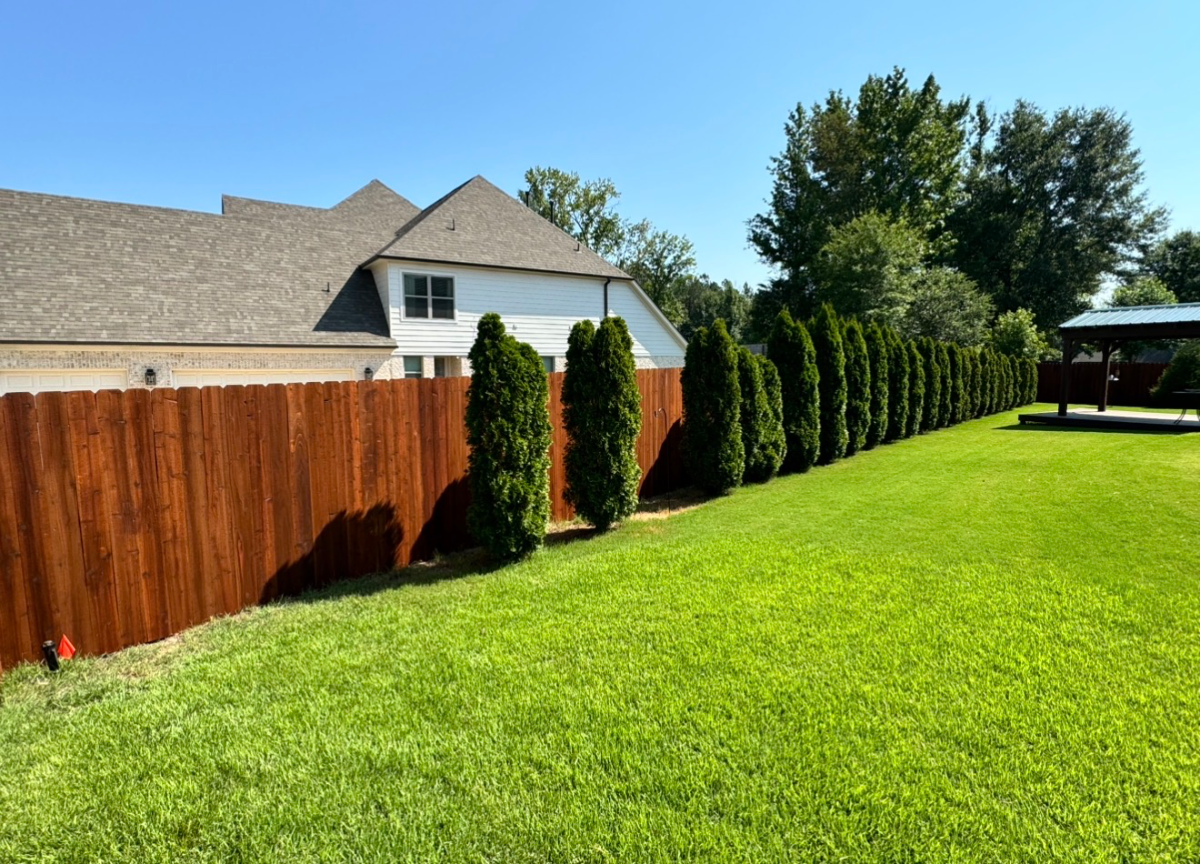 Pre-stained cedar privacy fence along a residential backyard