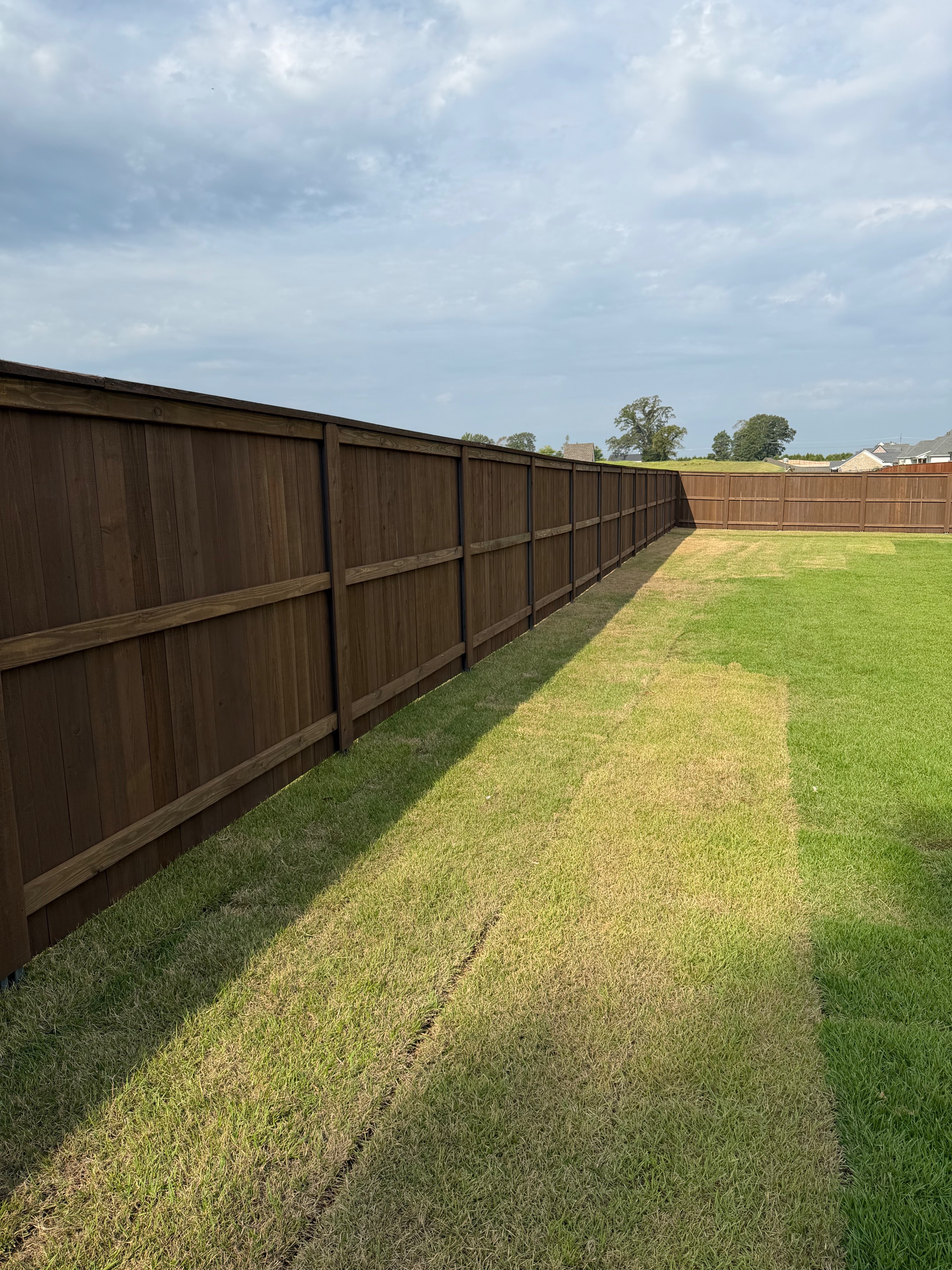 Pre-stained cedar cap and trim fence running straight along a level backyard